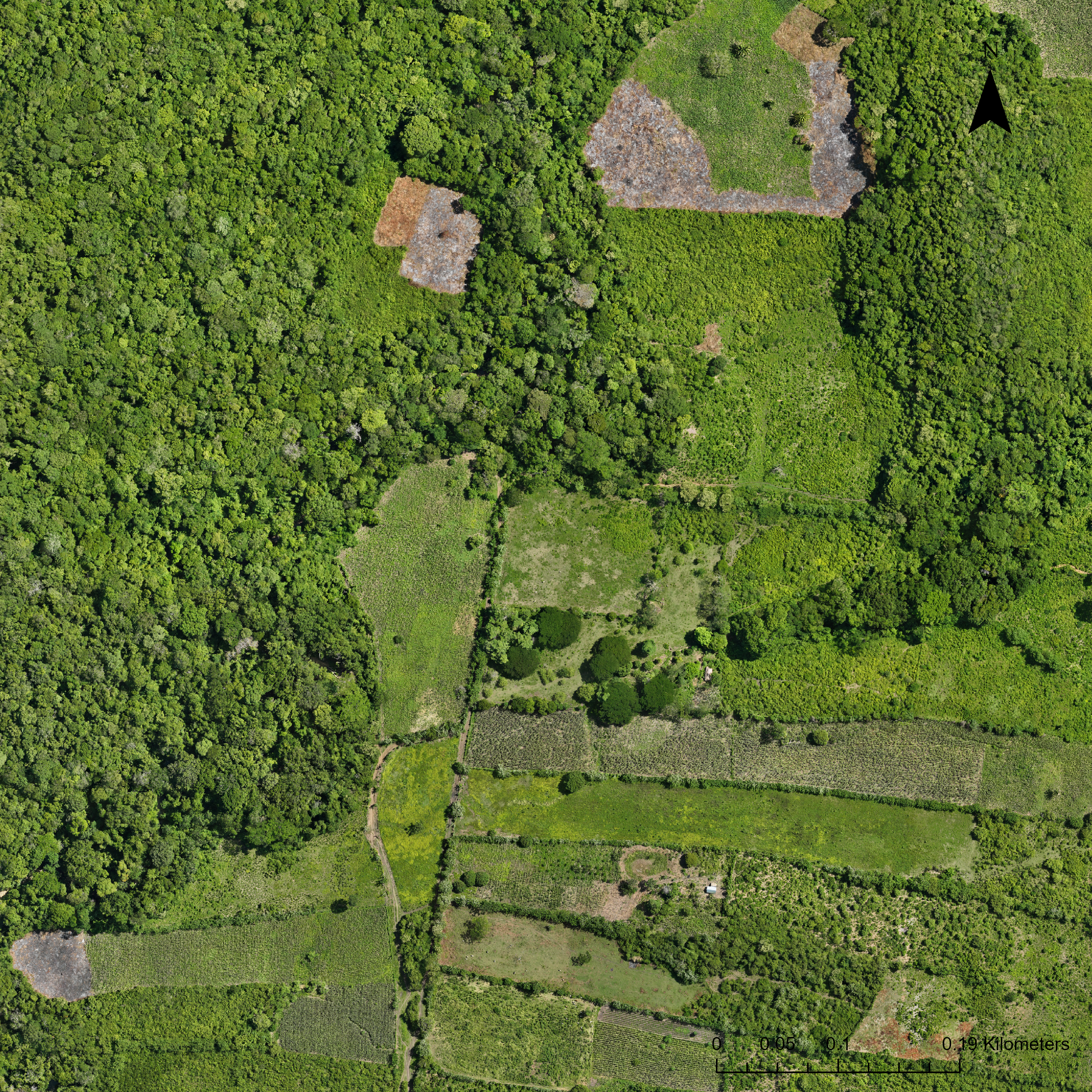 Mapa planimétrico